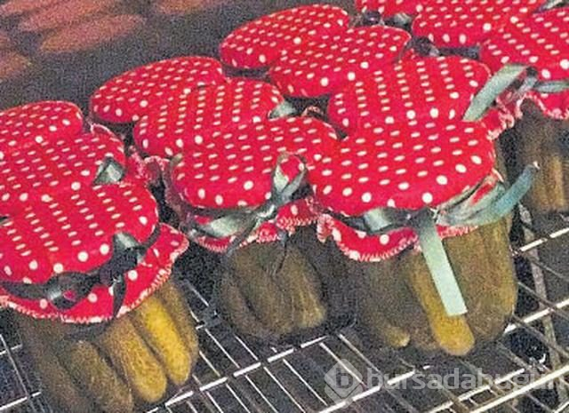 Ünlüler Çiftlik kurup organik tarıma başladılar