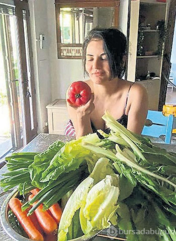 Ünlüler Çiftlik kurup organik tarıma başladılar