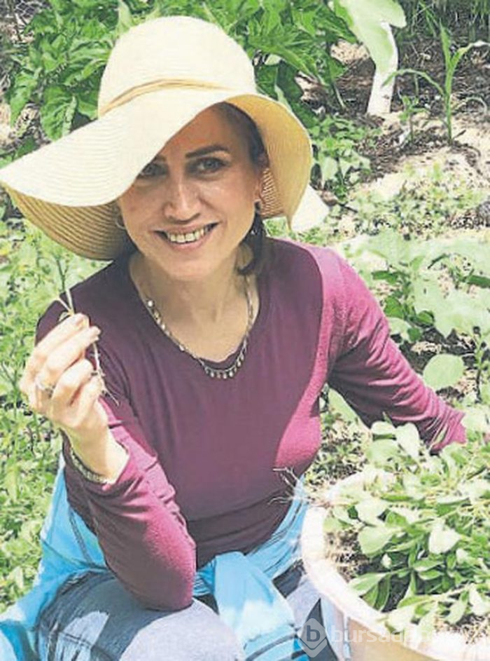 Ünlüler Çiftlik kurup organik tarıma başladılar