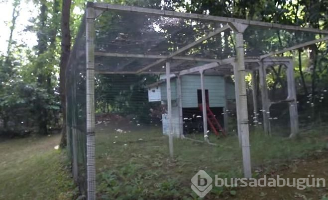 İşte Eser ve Berfu Yenenler'in yeni evi!