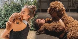 Bensu Soral'ın köpek sevgisi