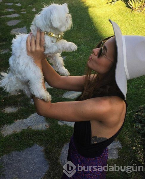 Bensu Soral'ın köpek sevgisi