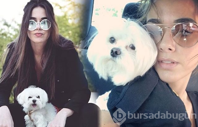 Bensu Soral'ın köpek sevgisi