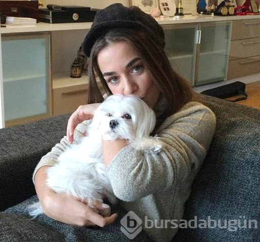 Bensu Soral'ın köpek sevgisi