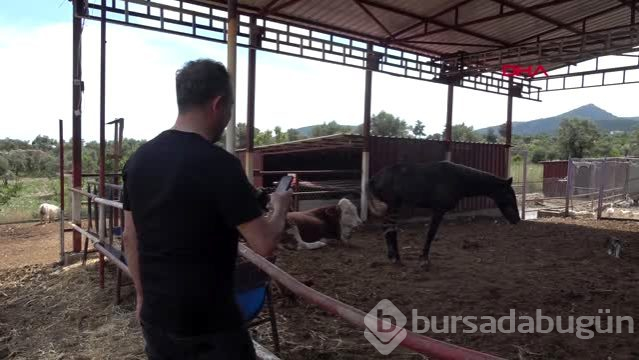 Haluk Levent: Yaşadığım sürece destek vereceğim