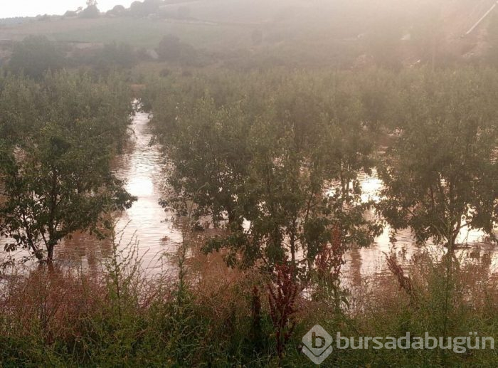 İşte Bursa'daki felaketin fotoğrafları!