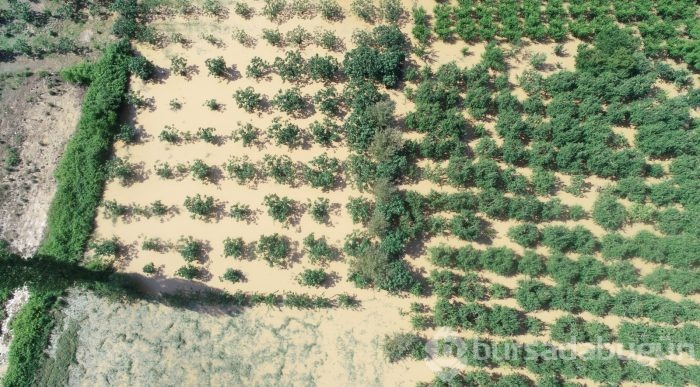 İşte Bursa'daki felaketin fotoğrafları!