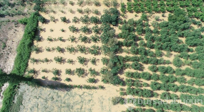 İşte Bursa'daki felaketin fotoğrafları!