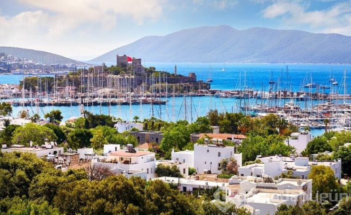 Bodrum yine abarttı! 1 tabak döner 370 lira....
