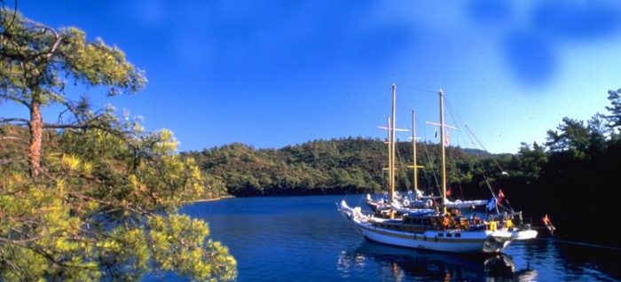 Bodrum yine abarttı! 1 tabak döner 370 lira....