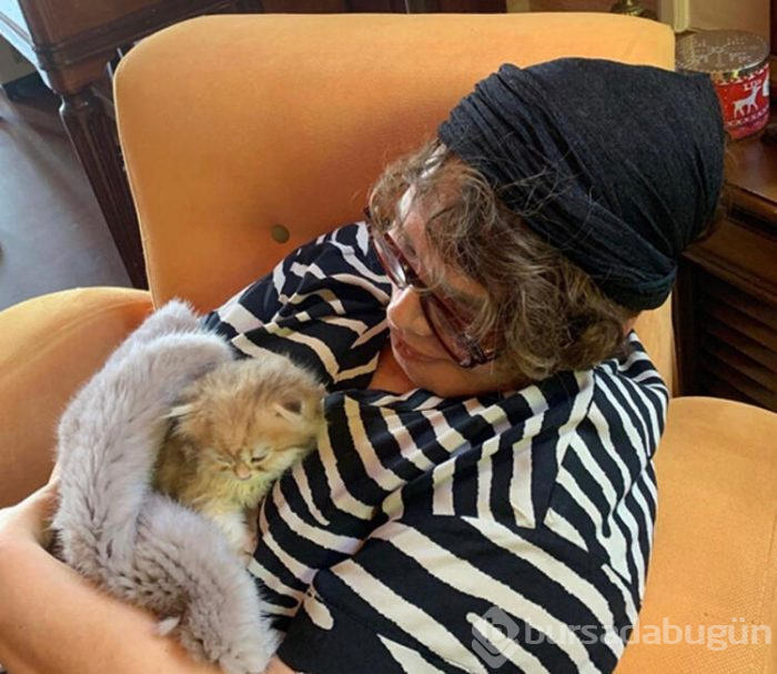 'Namussuz kedi! Sezen'in koynunda iki saat uyudu'