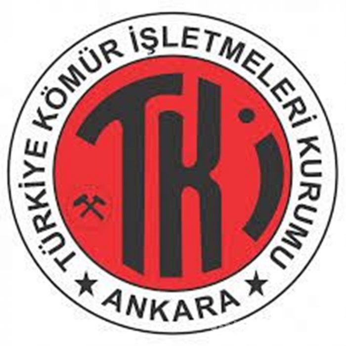 Türkiye'nin en büyük firmaları açıklandı
