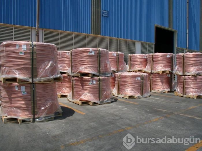 Türkiye'nin en büyük firmaları açıklandı
