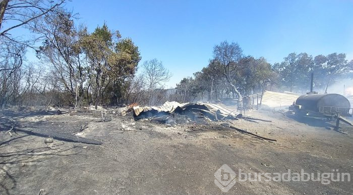 Bursa'da makilik ve ormanlık alanda yangın