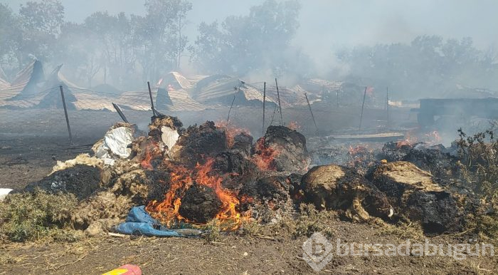 Bursa'da makilik ve ormanlık alanda yangın