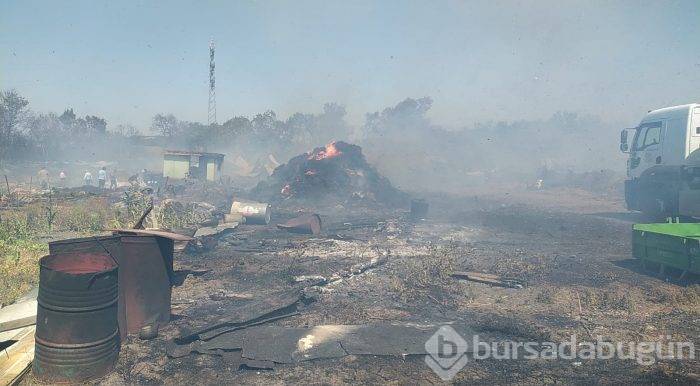 Bursa'da makilik ve ormanlık alanda yangın