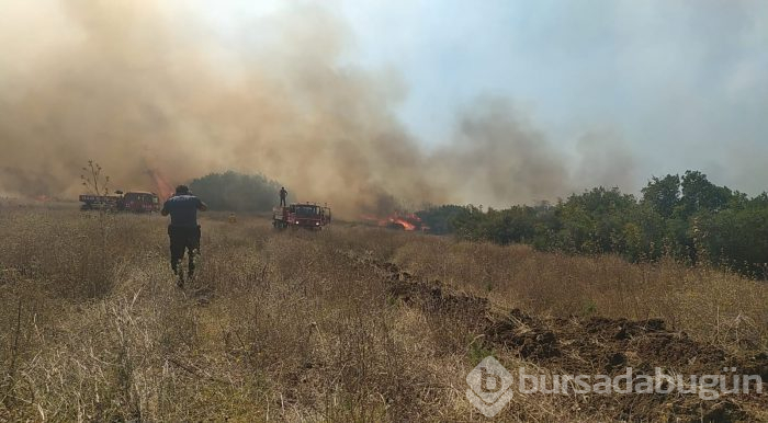 Bursa'da makilik ve ormanlık alanda yangın