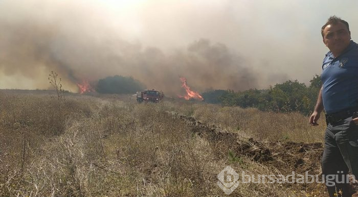 Bursa'da makilik ve ormanlık alanda yangın