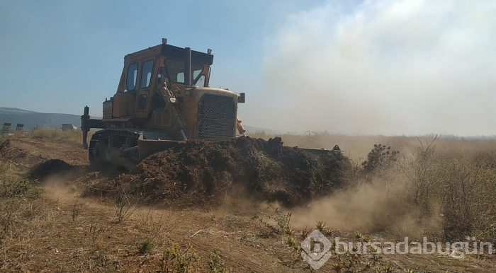 Bursa'da makilik ve ormanlık alanda yangın