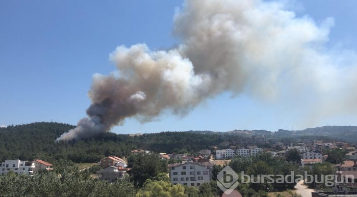 Bursa Nilüfer'de orman yangını