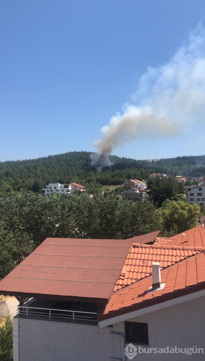 Bursa Nilüfer'de orman yangını