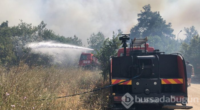Bursa Nilüfer'de orman yangını