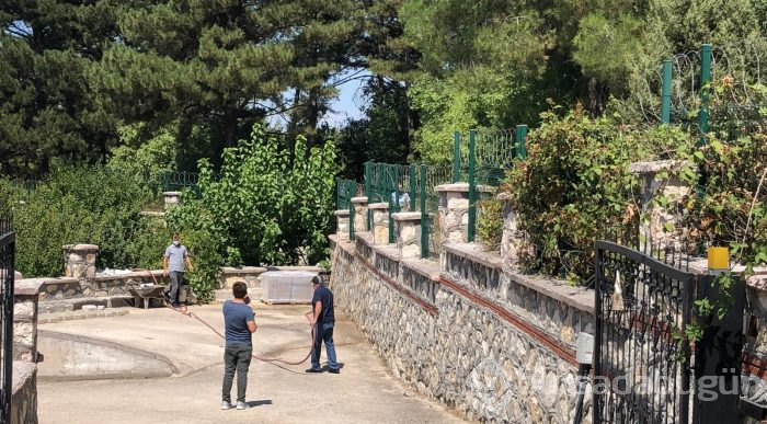 Bursa Nilüfer'de orman yangını