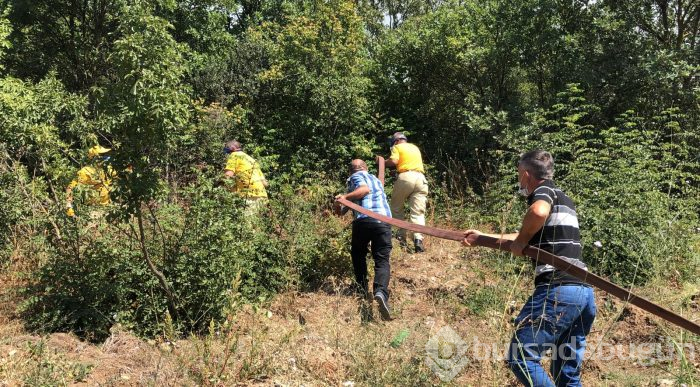 Bursa Nilüfer'de orman yangını