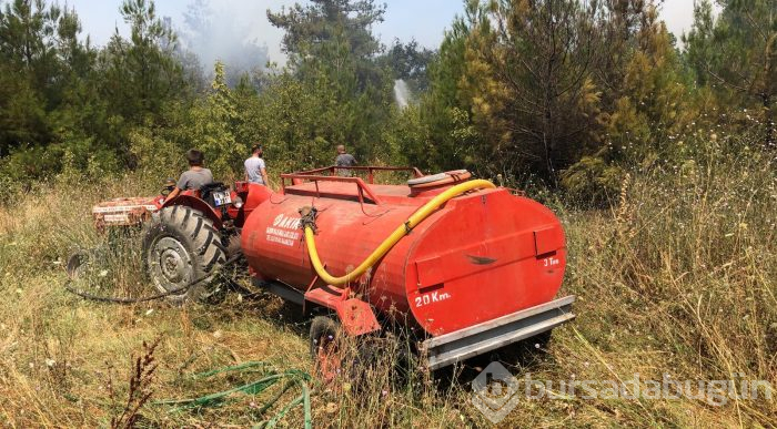 Bursa Nilüfer'de orman yangını