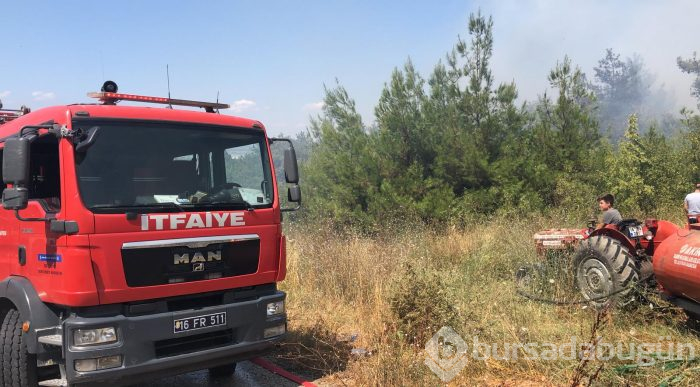 Bursa Nilüfer'de orman yangını
