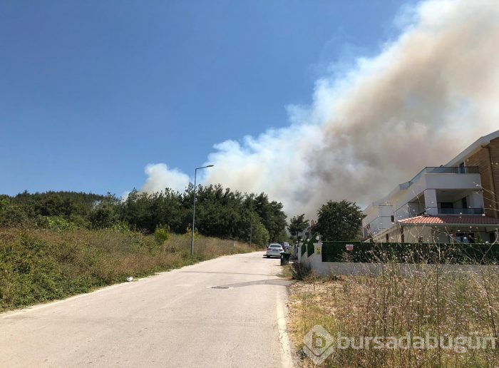 Bursa Nilüfer'de orman yangını