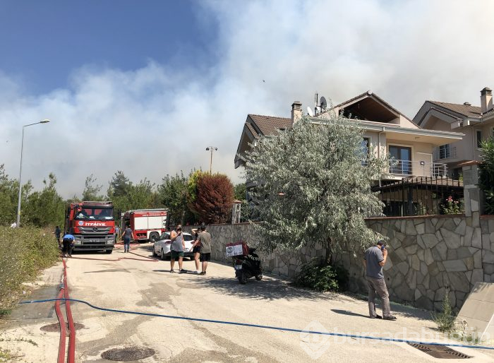 Bursa Nilüfer'de orman yangını