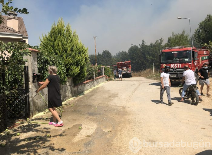 Bursa Nilüfer'de orman yangını