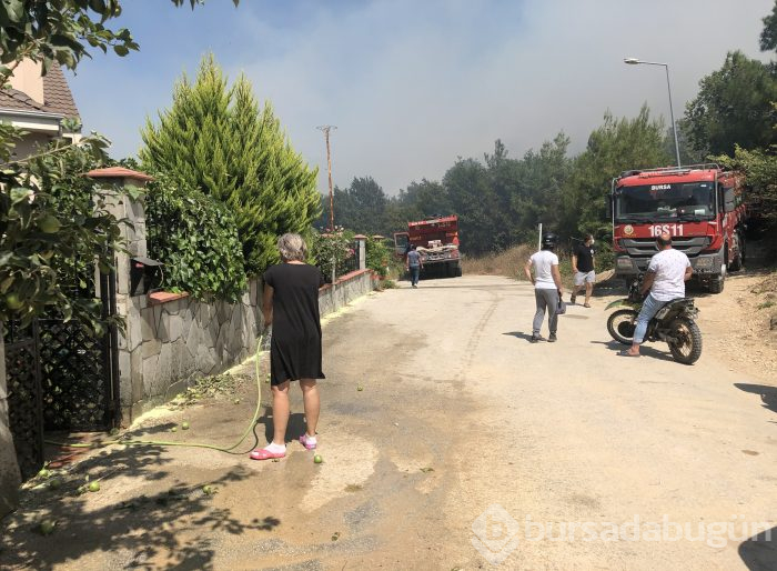 Bursa Nilüfer'de orman yangını