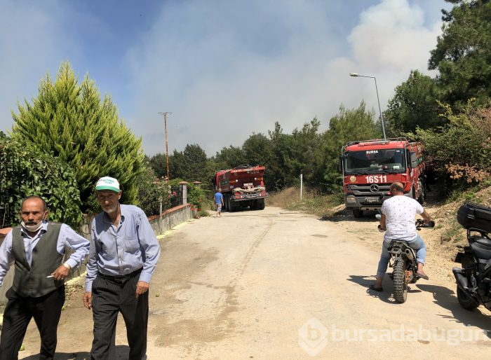 Bursa Nilüfer'de orman yangını