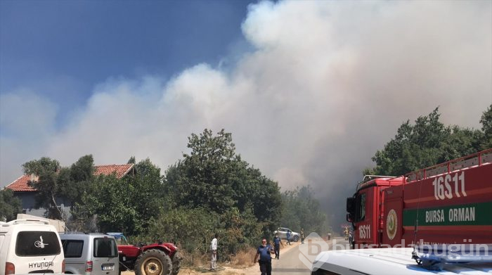 Bursa Nilüfer'de orman yangını