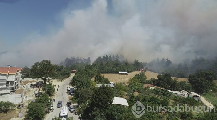 Bursa Nilüfer'de orman yangını