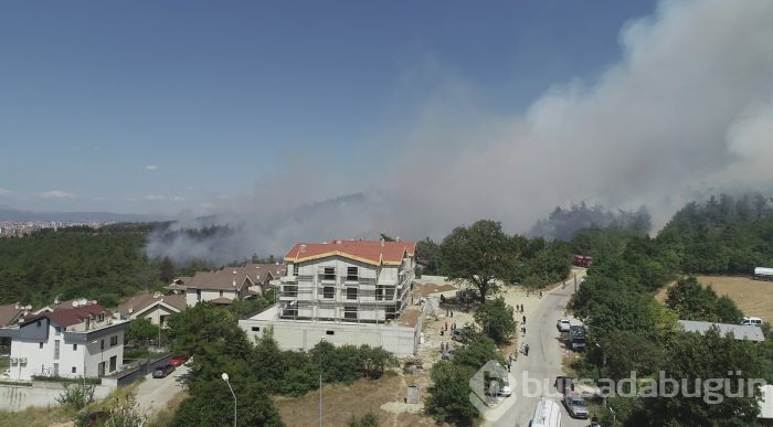 Bursa Nilüfer'de orman yangını