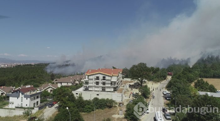 Bursa Nilüfer'de orman yangını