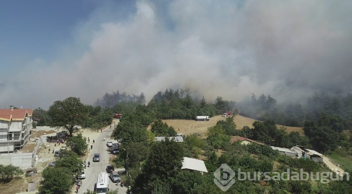 Bursa Nilüfer'de orman yangını