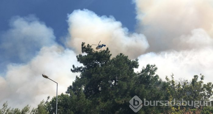 Bursa Nilüfer'de orman yangını