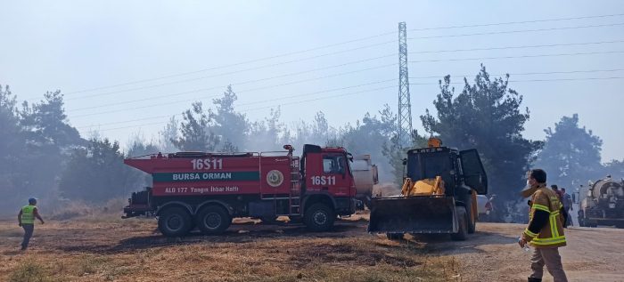 Bursa Nilüfer'de orman yangını