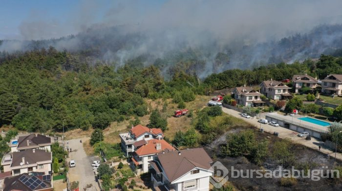 Bursa Nilüfer'de orman yangını