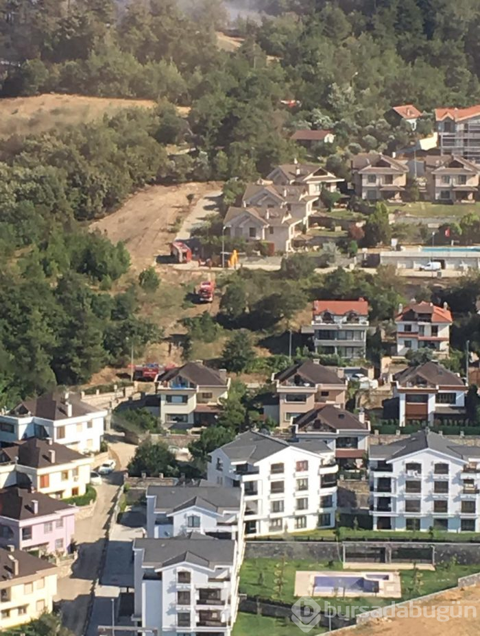 Bursa Nilüfer'de orman yangını