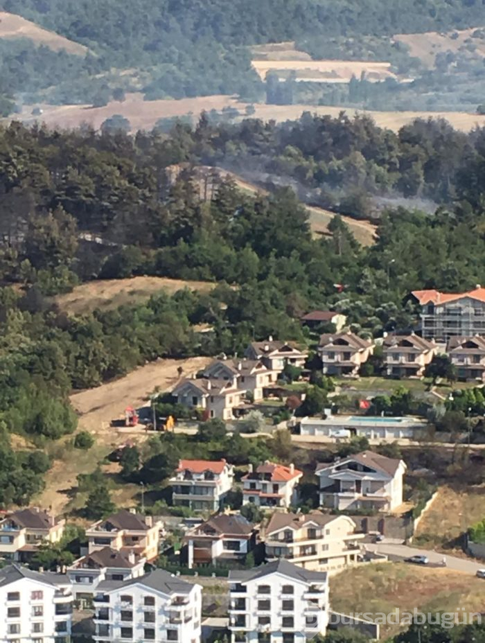 Bursa Nilüfer'de orman yangını