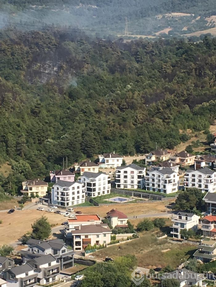 Bursa Nilüfer'de orman yangını