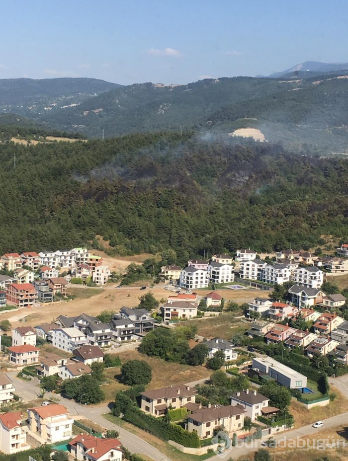 Bursa Nilüfer'de orman yangını