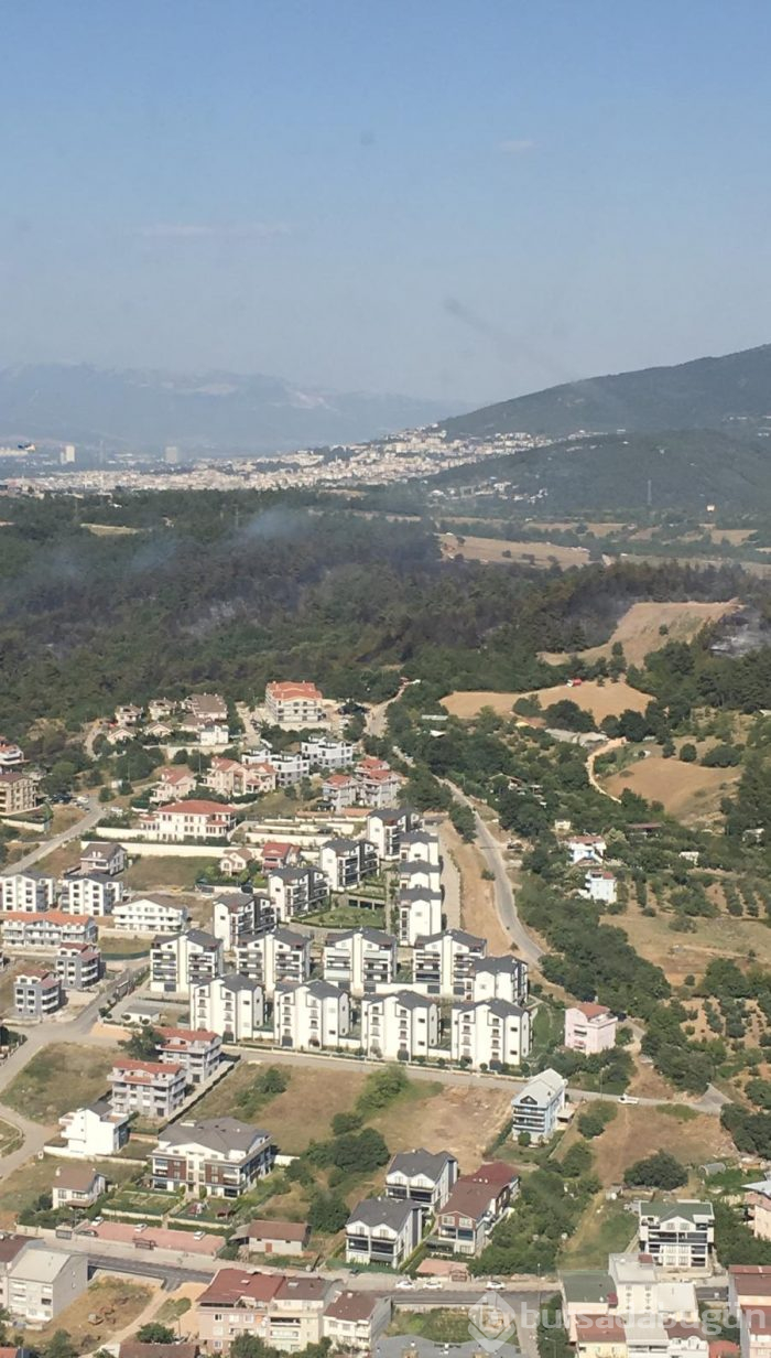 Bursa Nilüfer'de orman yangını