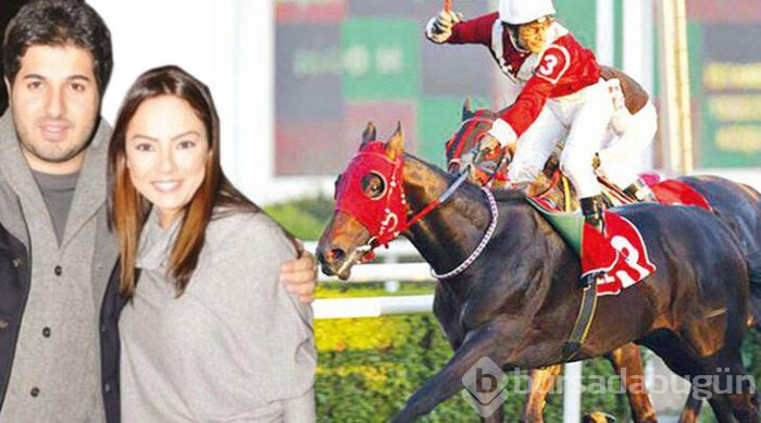 Ebru Gündeş'in atına ne oldu? Gerçek ortaya çıktı