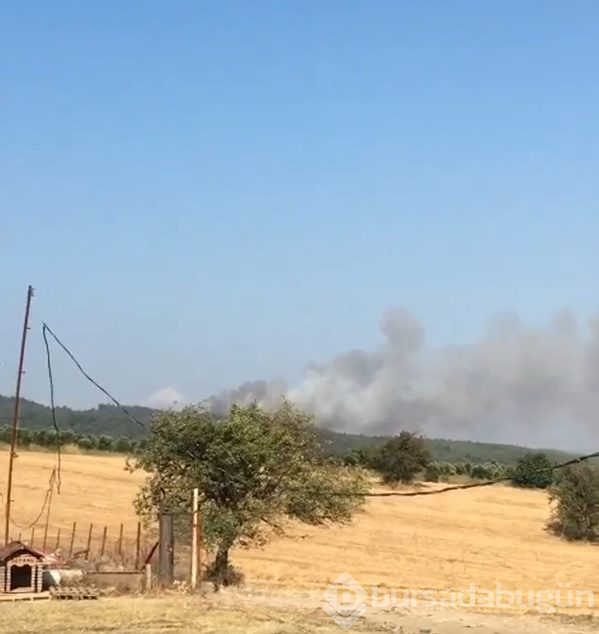 Bursa'da büyük yangın! 